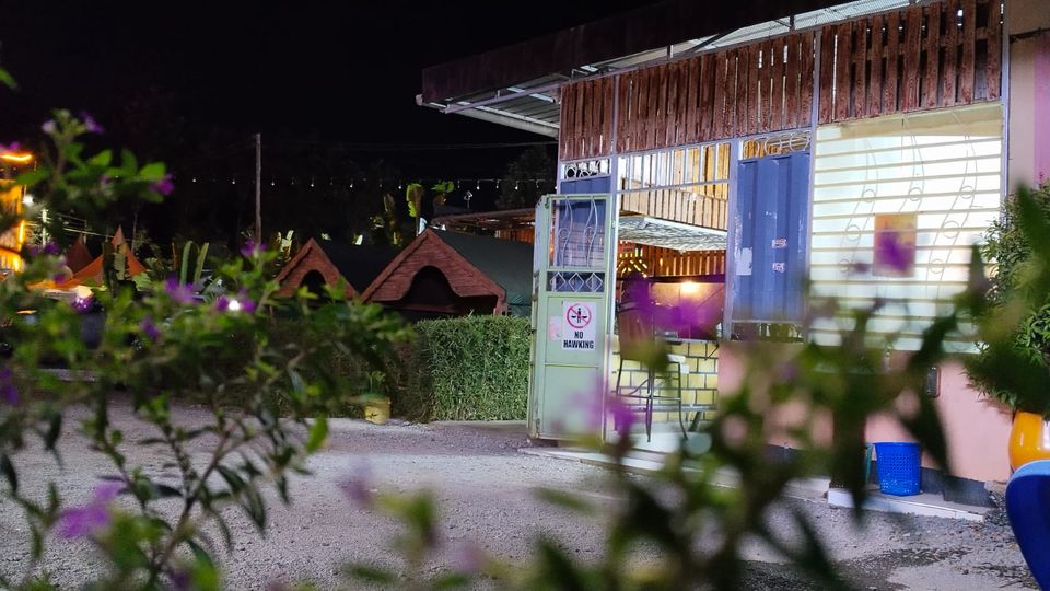 The garden bar at night, seen through flowering shrubs